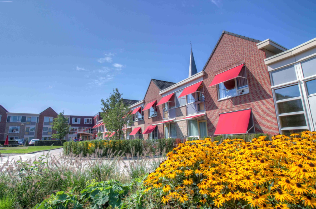 Afbeelding 3 van De Wieken